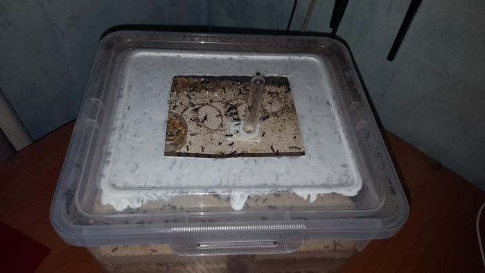 2016-11-21 21-06-38.JPG